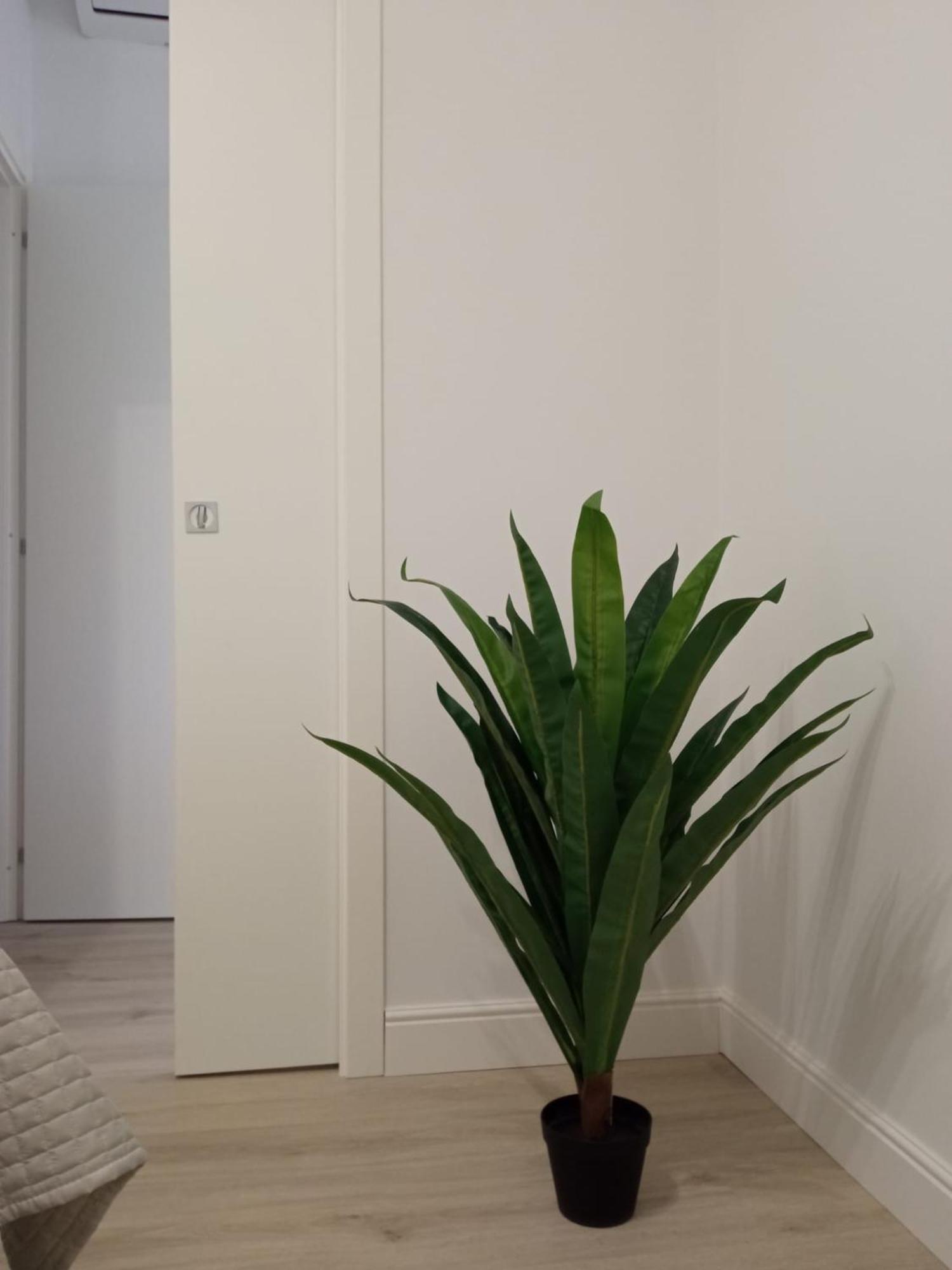 La Casa Di Ary Alle Pendici Dell'Etna ニコロージ エクステリア 写真
